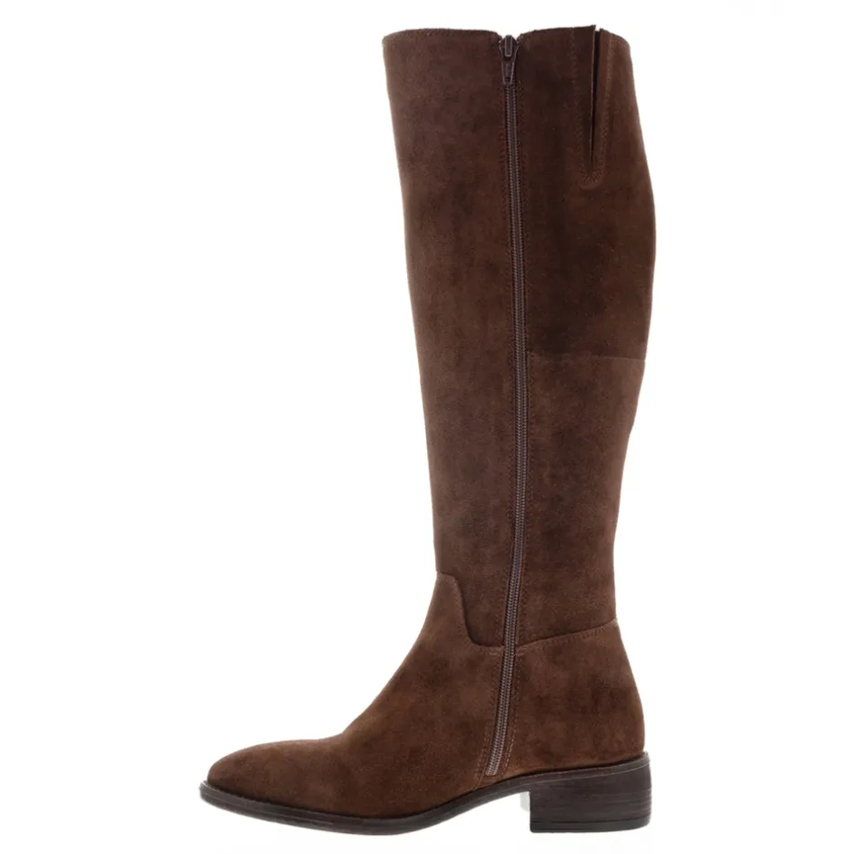 Ashby Brown Suede Knee High Boots<Carl Scarpa Store