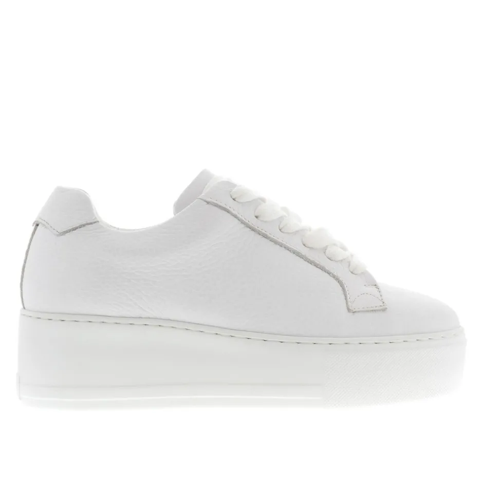 Padova White Leather Platform Trainers<Carl Scarpa Flash Sale