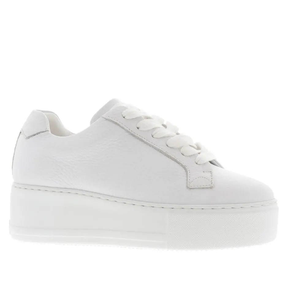Padova White Leather Platform Trainers<Carl Scarpa Flash Sale